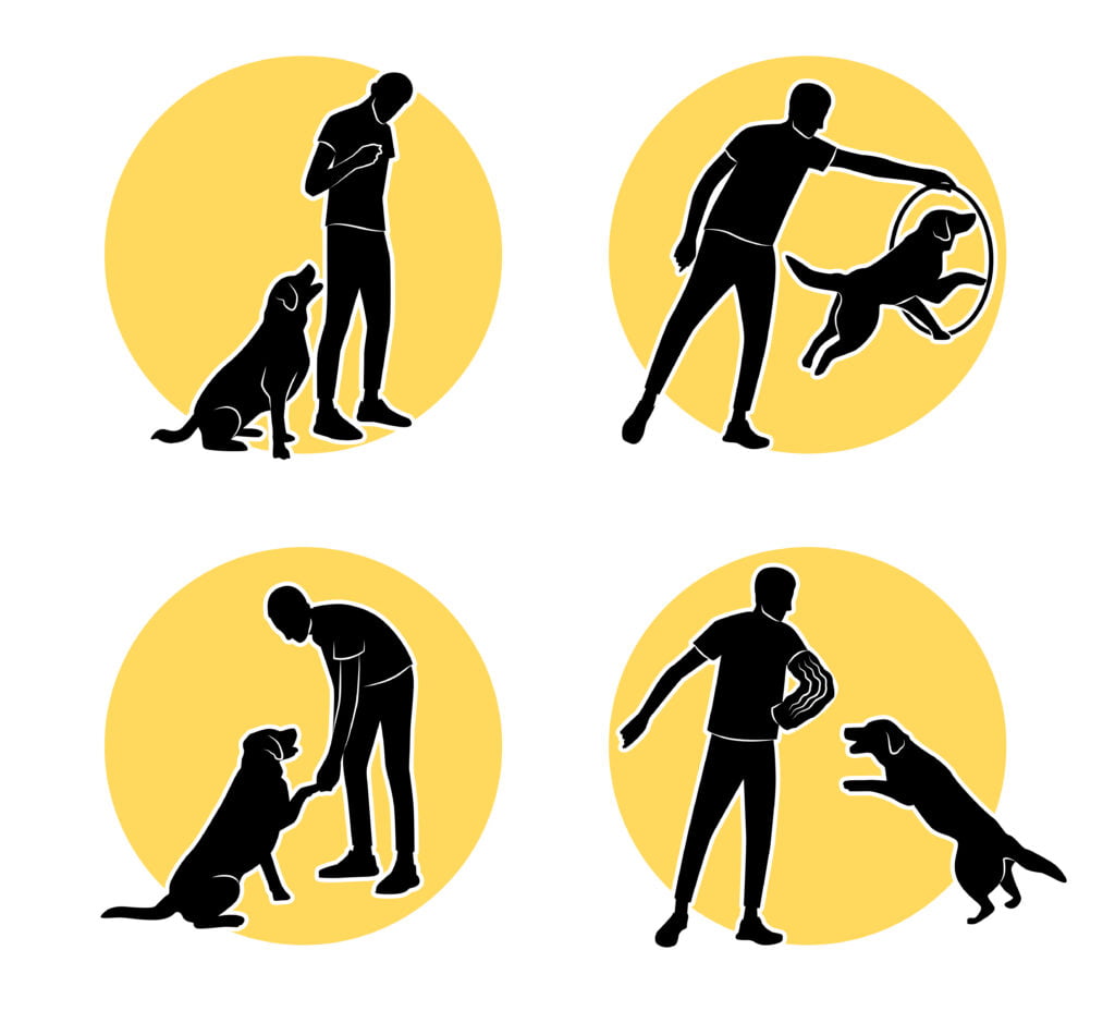 Four dog training examples