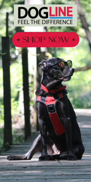 dog products and dog supplies