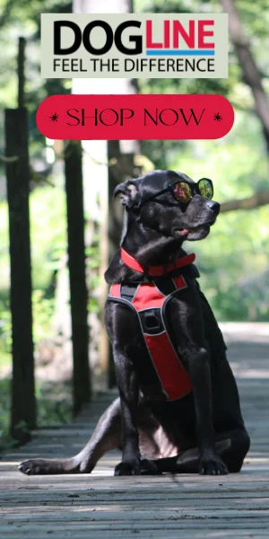 dog products and dog supplies