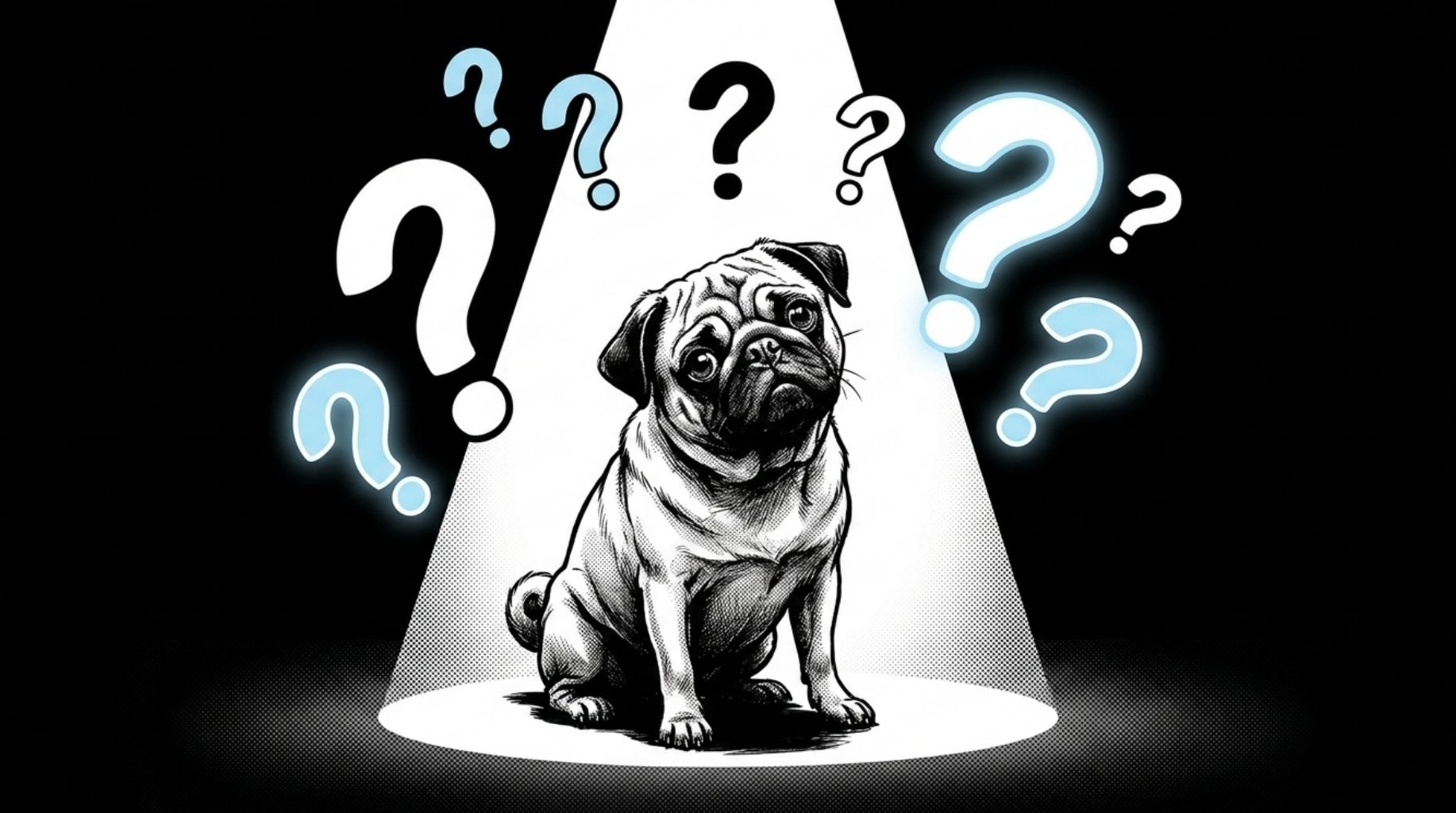 FREQUENTLY ASKED QUESTIONS about what to do if your dog wont eat his food