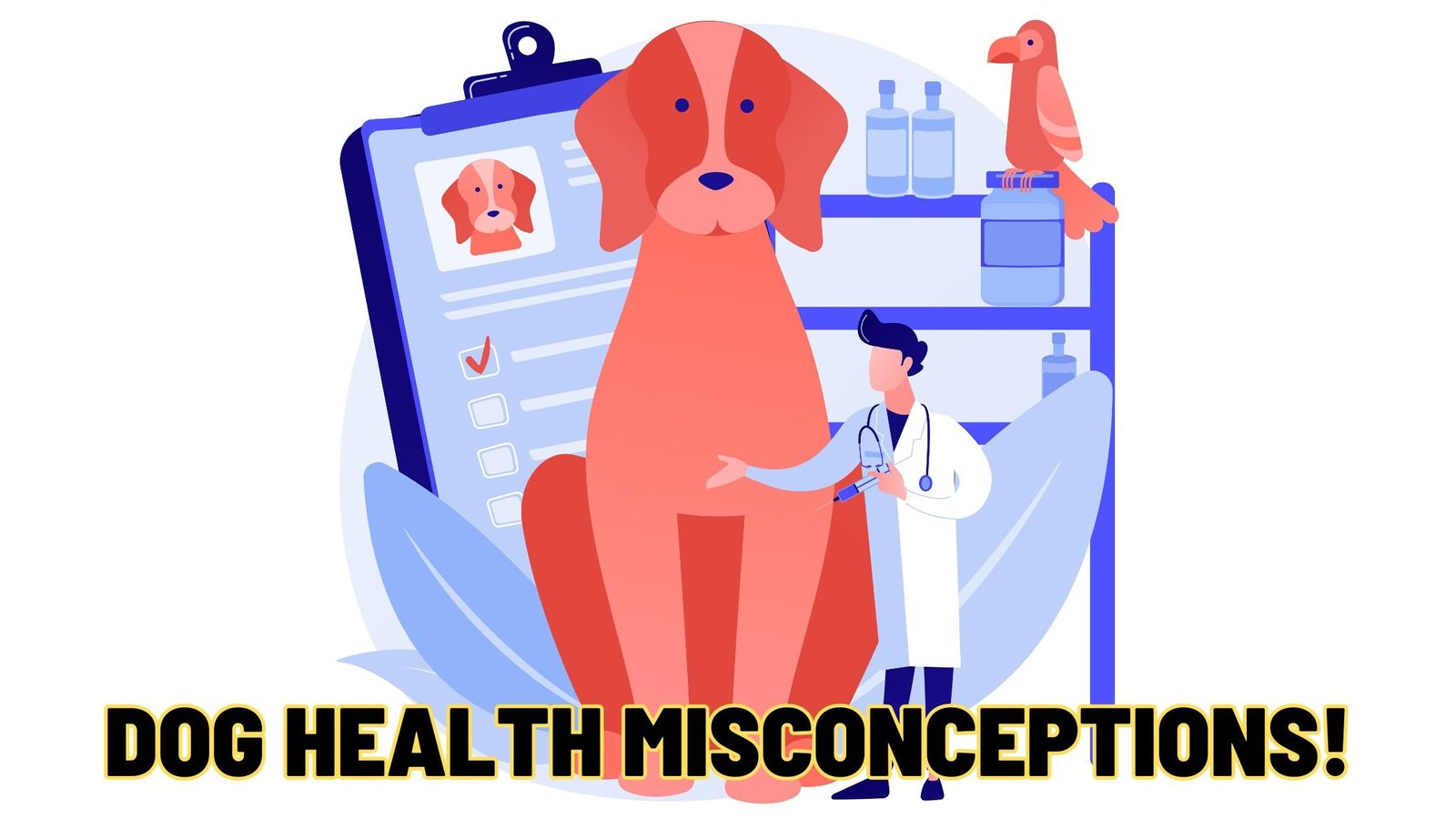 COMMON MISCONCEPTIONS ABOUT DOG HEALTH
