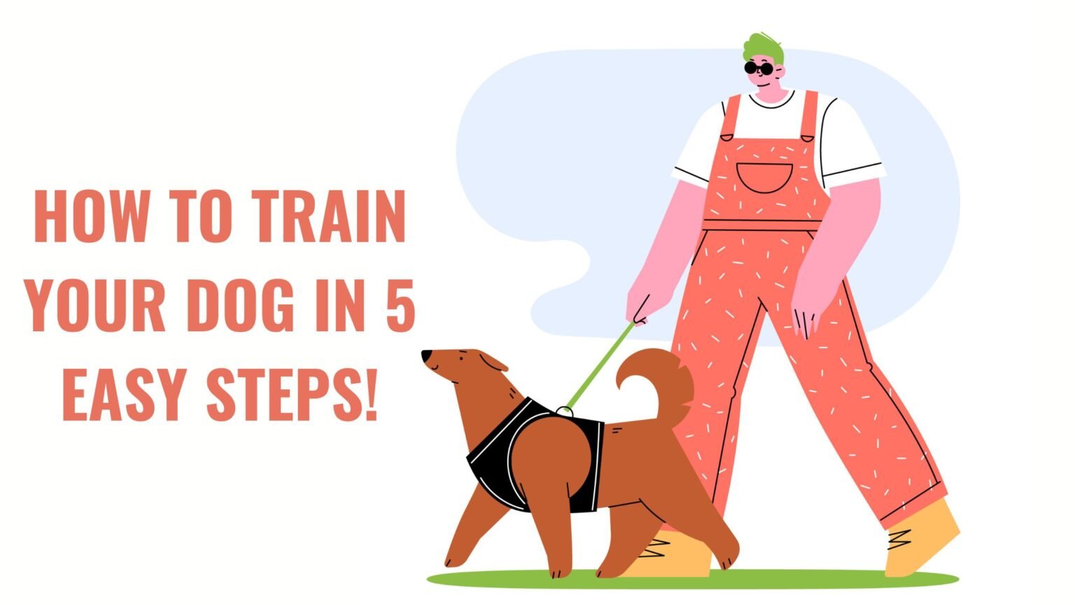 HOW TO TRAIN YOUR DOG