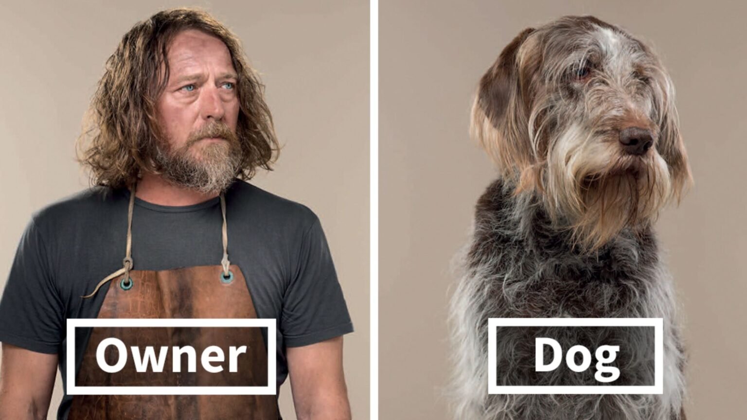 DOG OWNERS LOOKING LIKE THEIR DOGS
