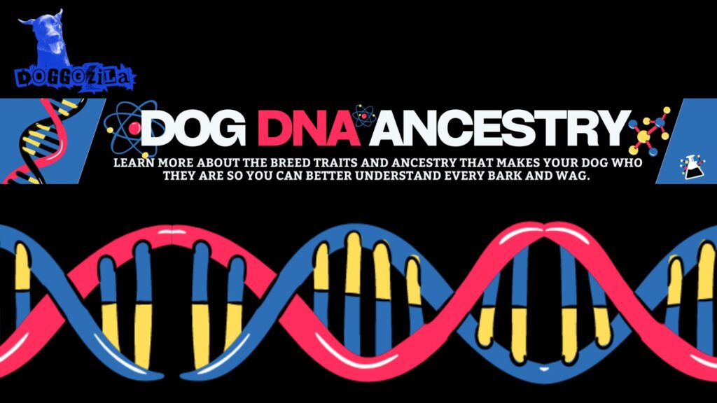 dog dna ancestry
