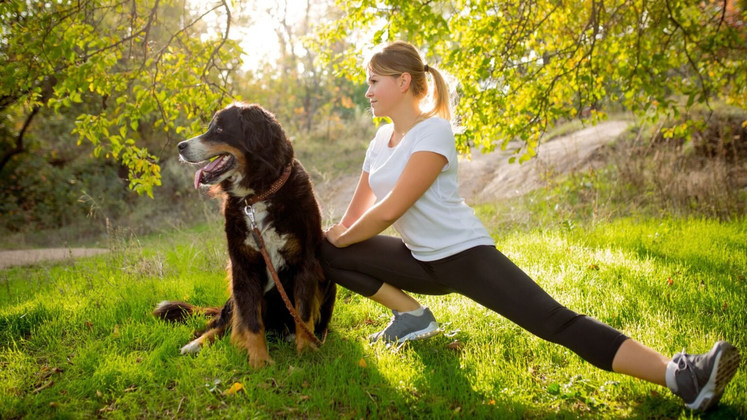 how to Keep your dog healthy and live longer