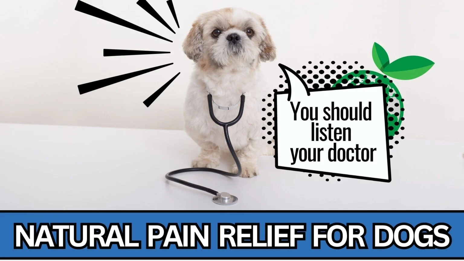 NATURAL-PAIN-RELIEF-FOR-DOGS