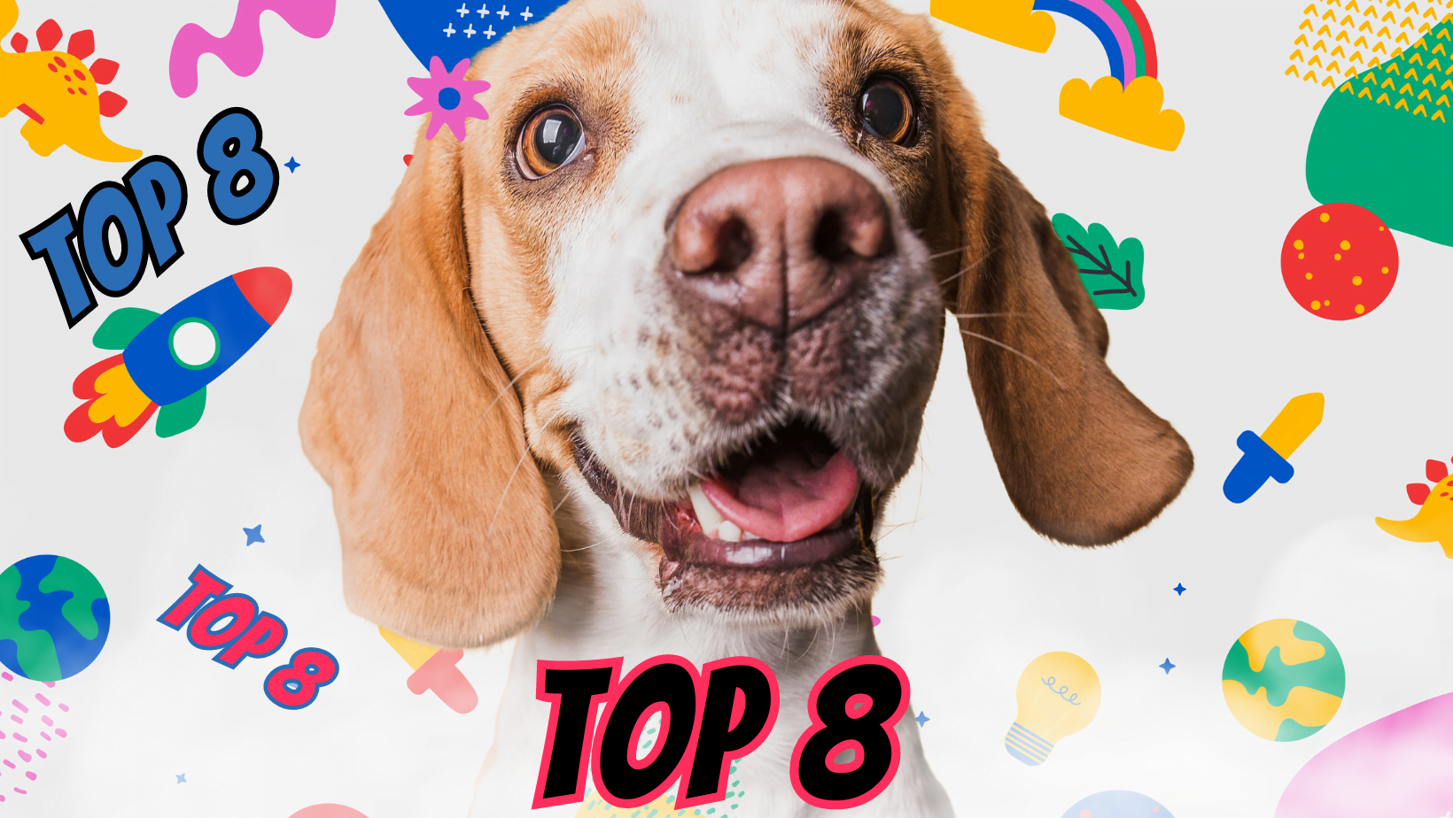 Why Healthy Dogs Are Best Pets? - Doggozila Magazine