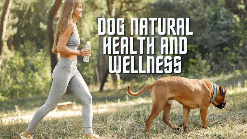 natural dog health