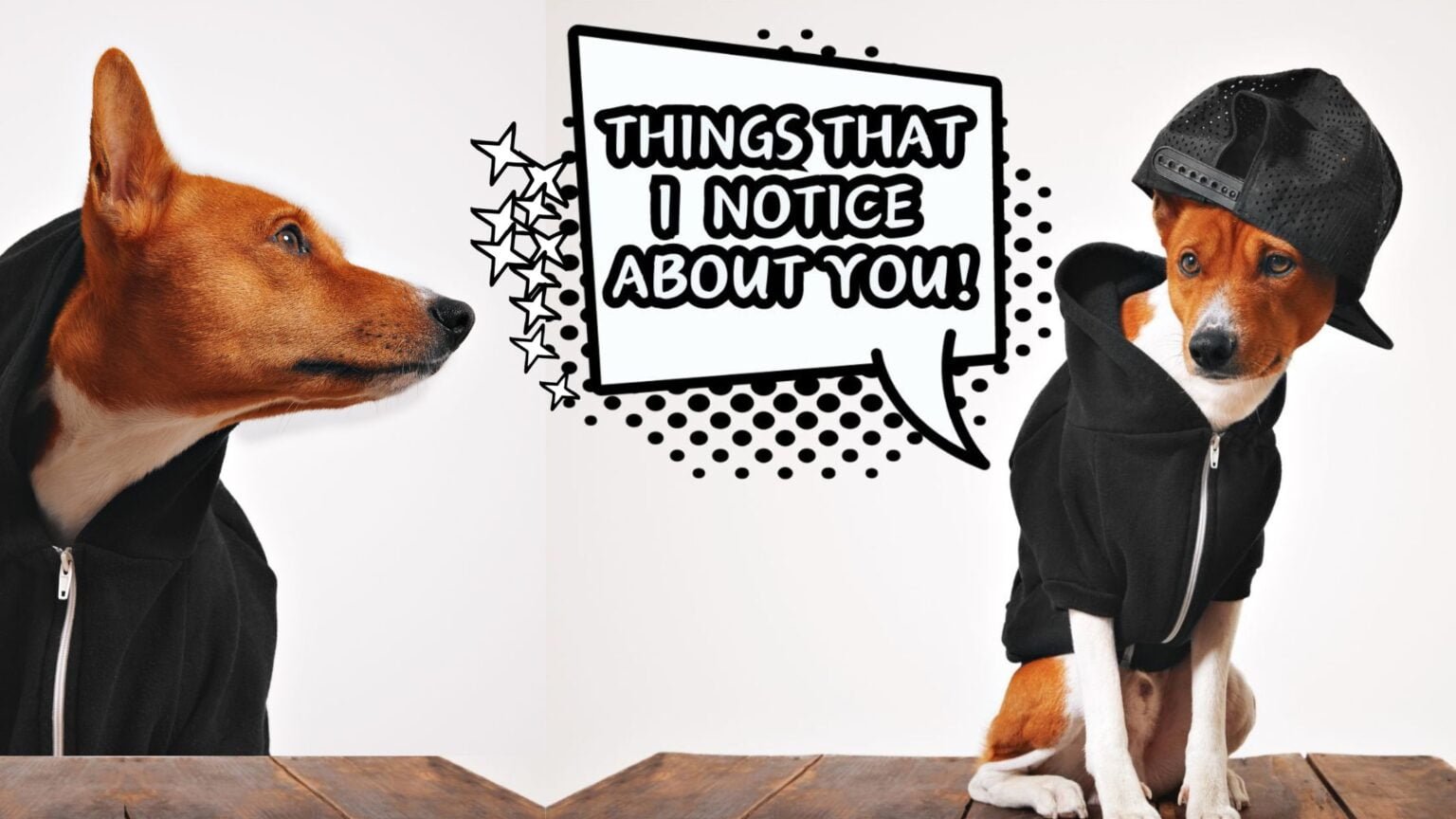 things that dogs first notice about their owners