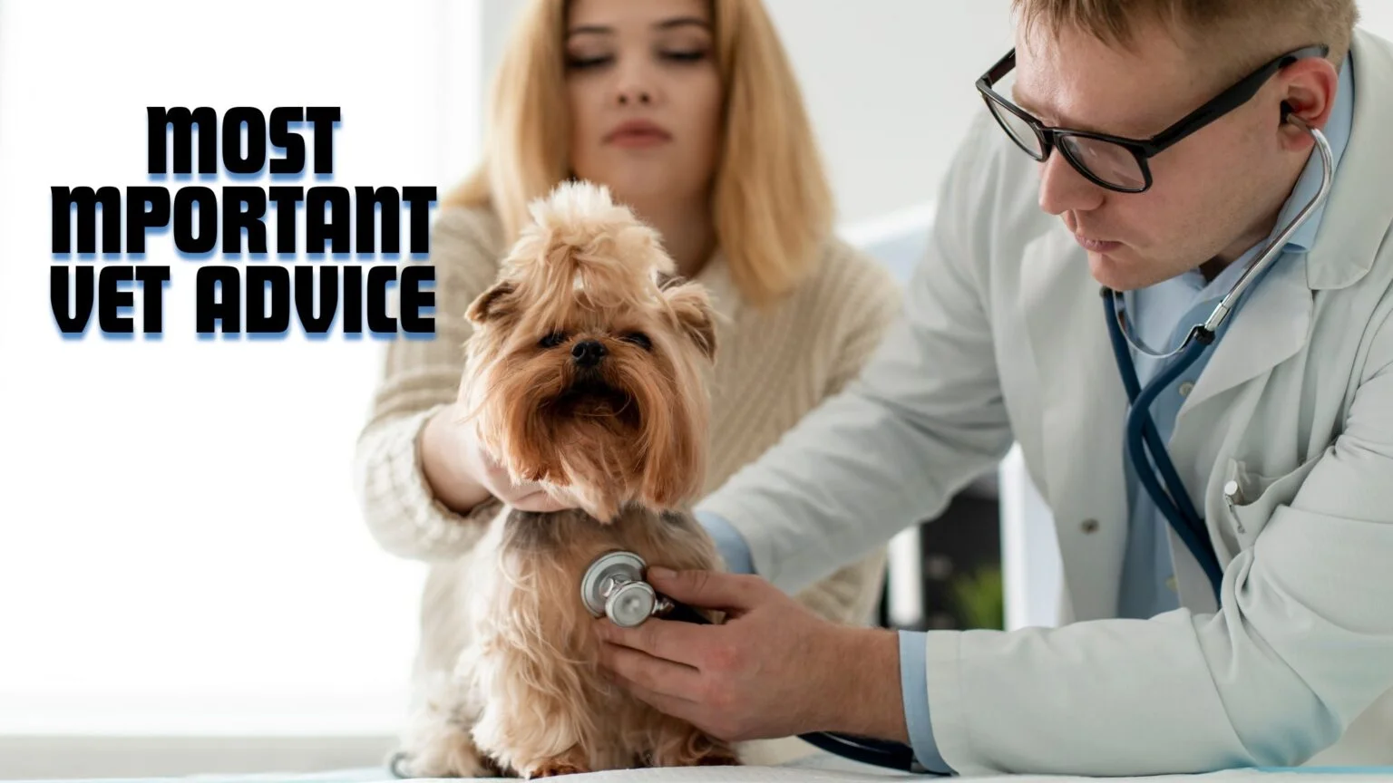 vet advice