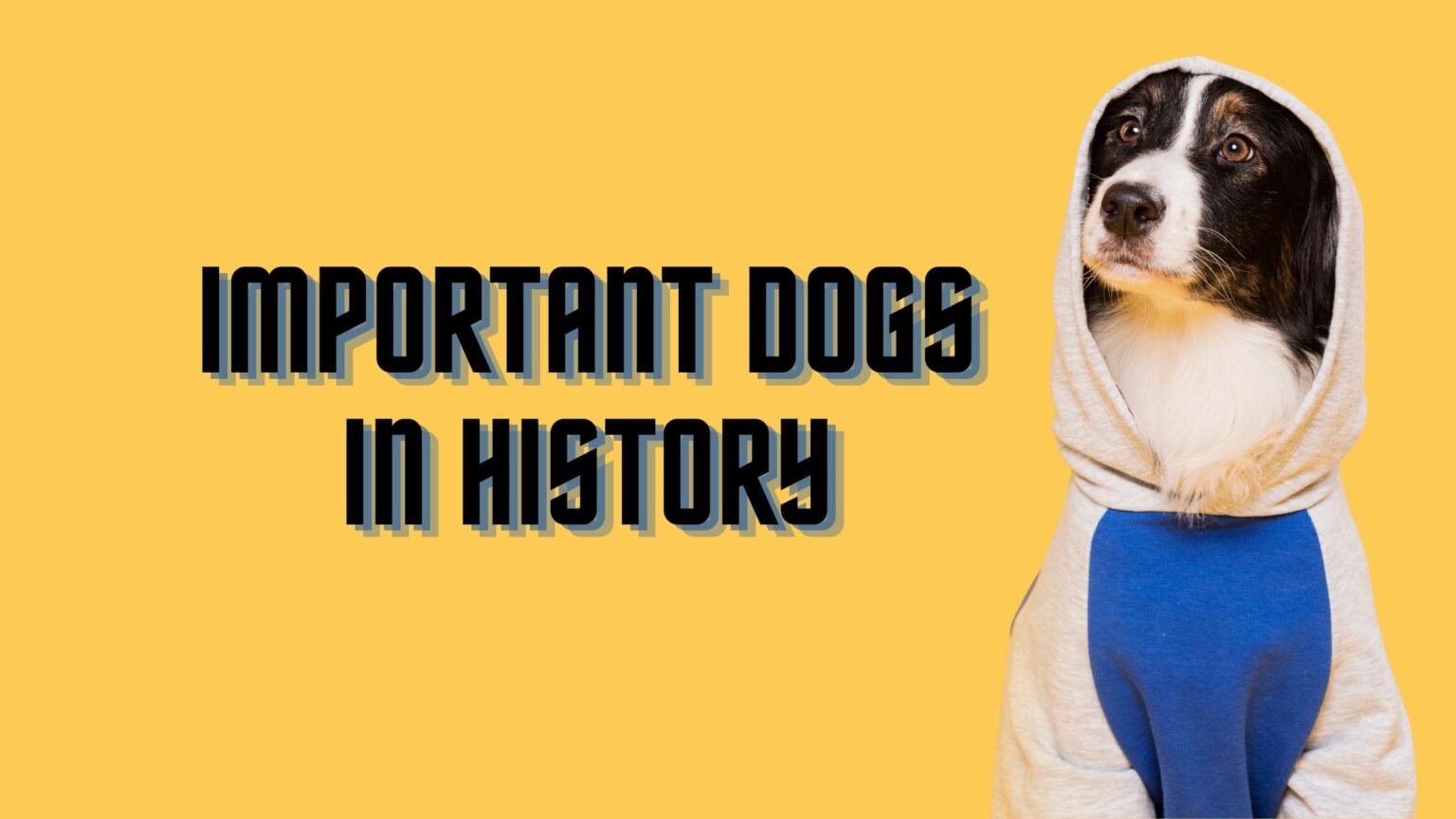 IMPORTANT DOGS IN HISTORY