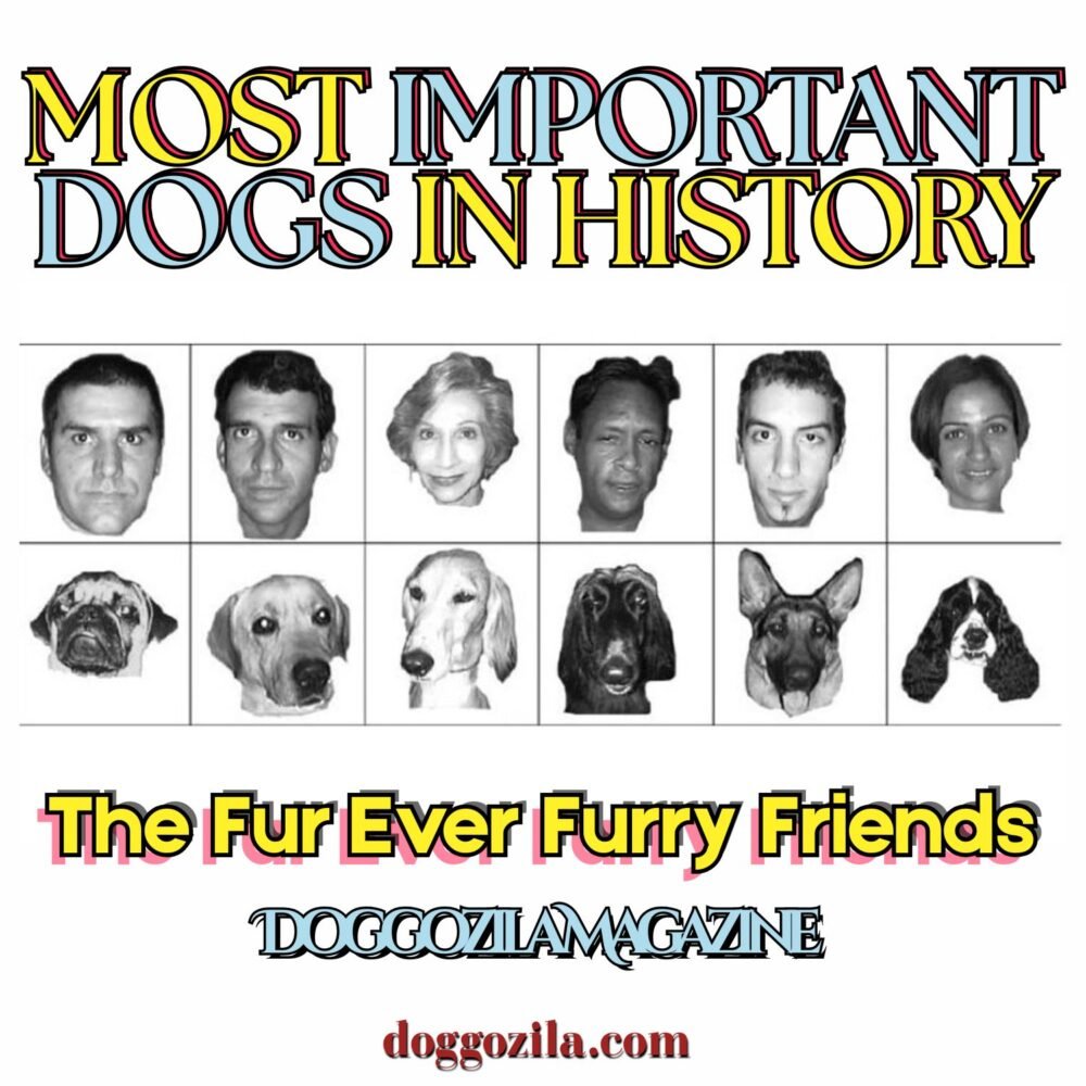 Most important dogs in history