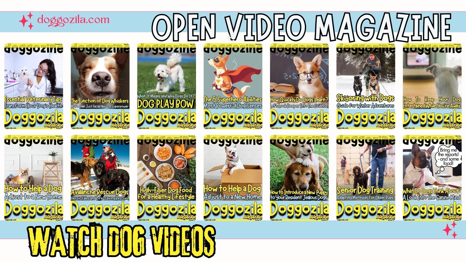 dog video open doggozila magazine to watch