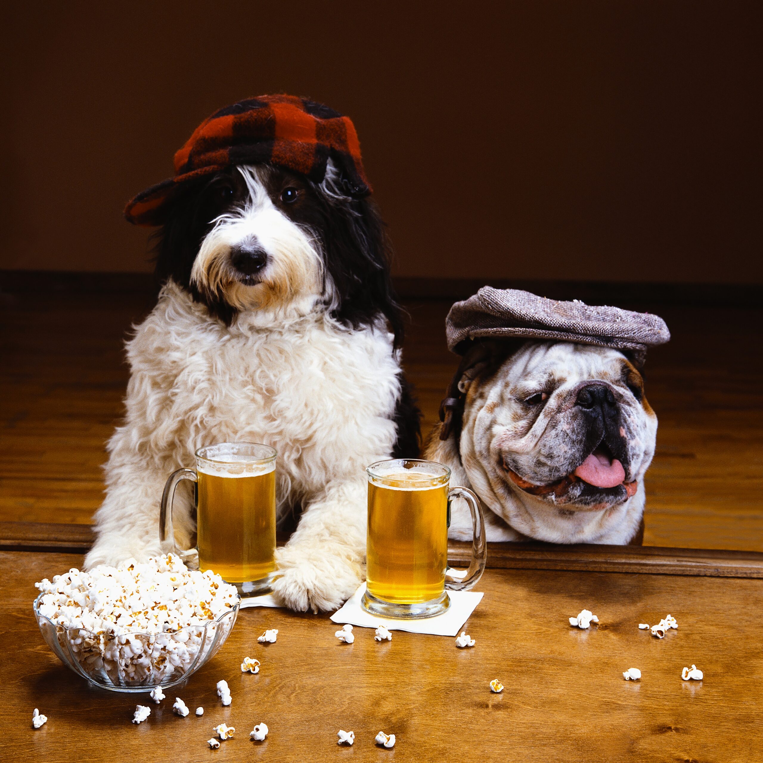 beer dogs 