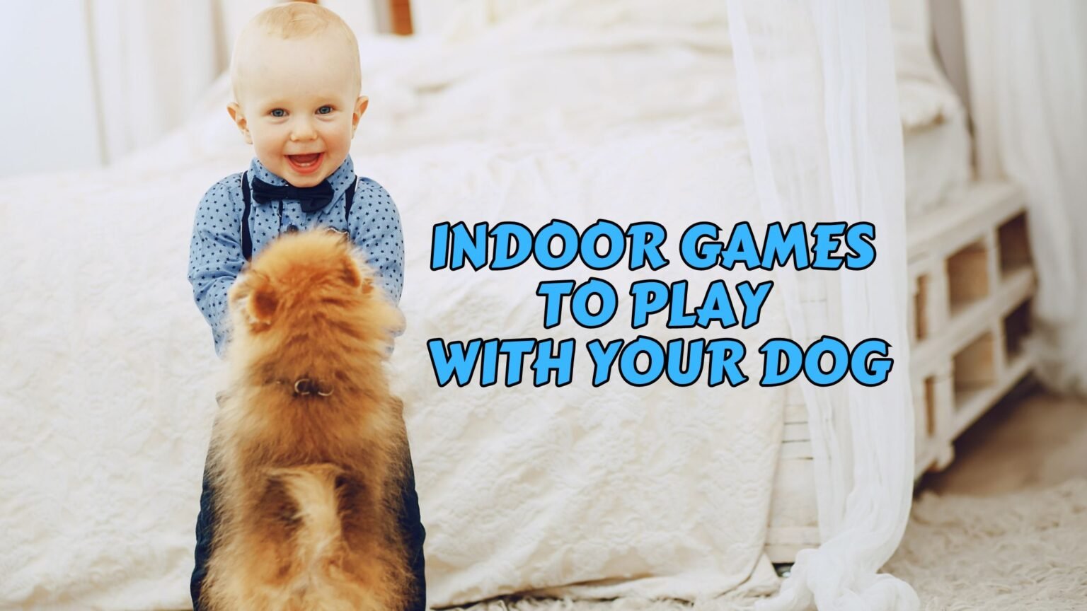 indoor games to play with your dog