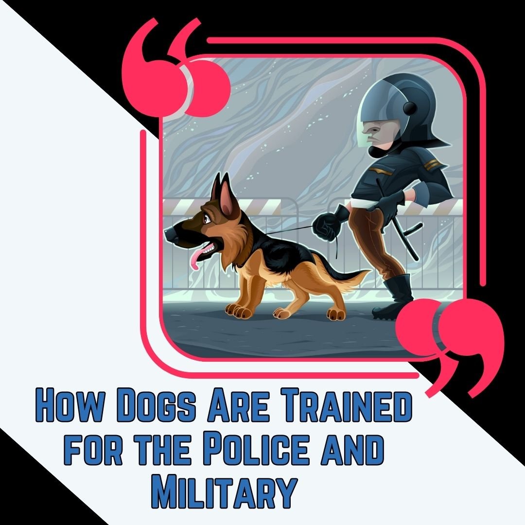 How Dogs Are Trained for the Police and Military