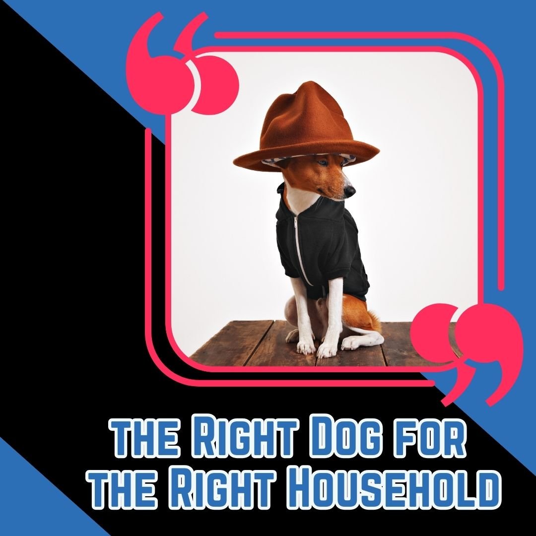 right dog for home