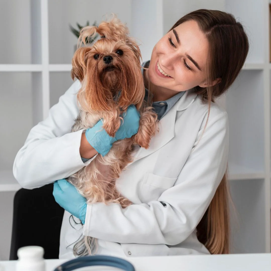 most important veterinary advices