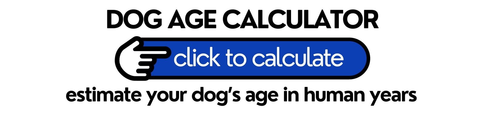 dog age calculator