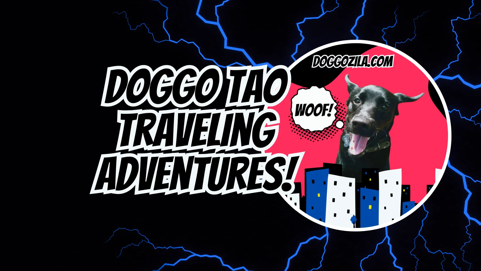 doggo tao traveling adventures daily doggo