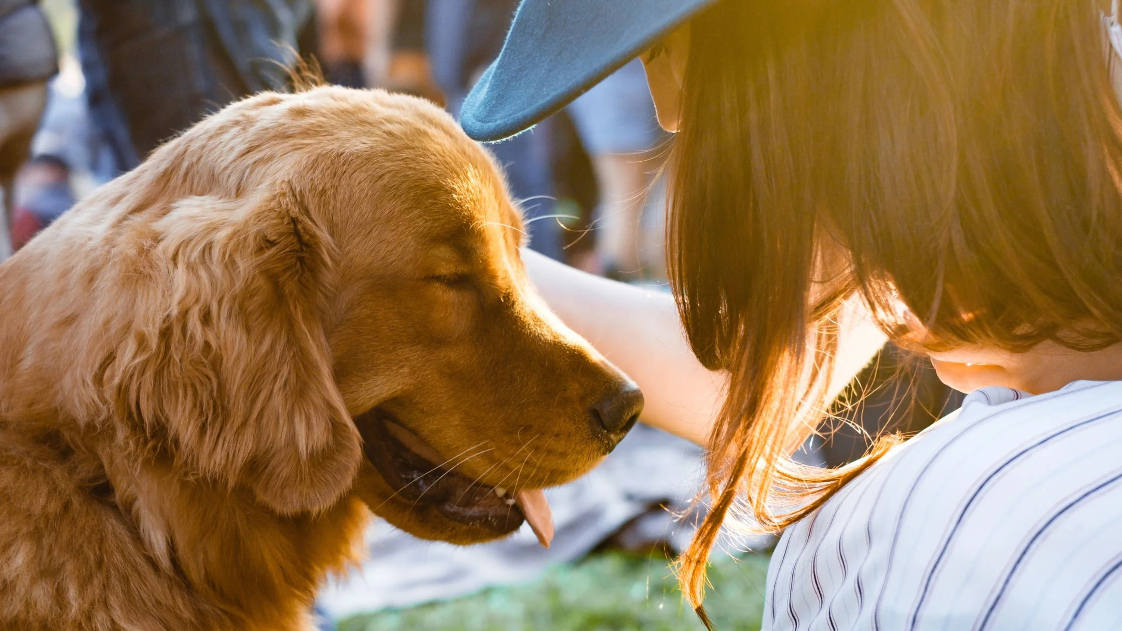 HOW DOGS AND HUMANS BECAME FRIENDS