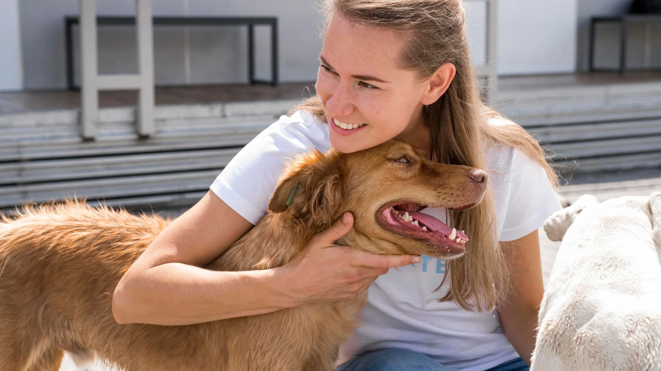 DOGS AND HUMANS BECAME FRIENDS