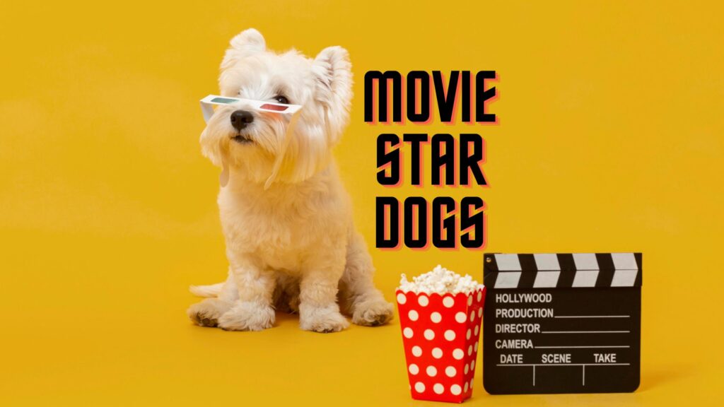 movies made about dogs