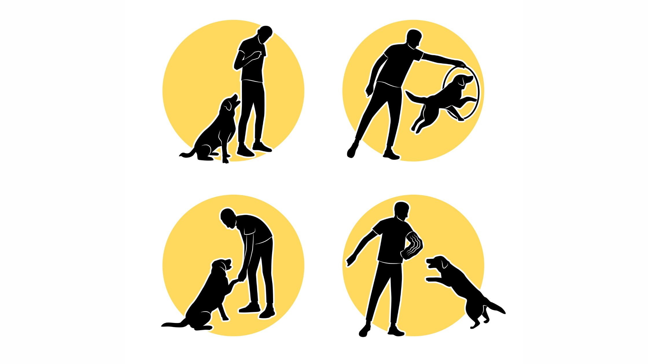 HOW TO TRAIN YOUR DOG EFFECTIVELY