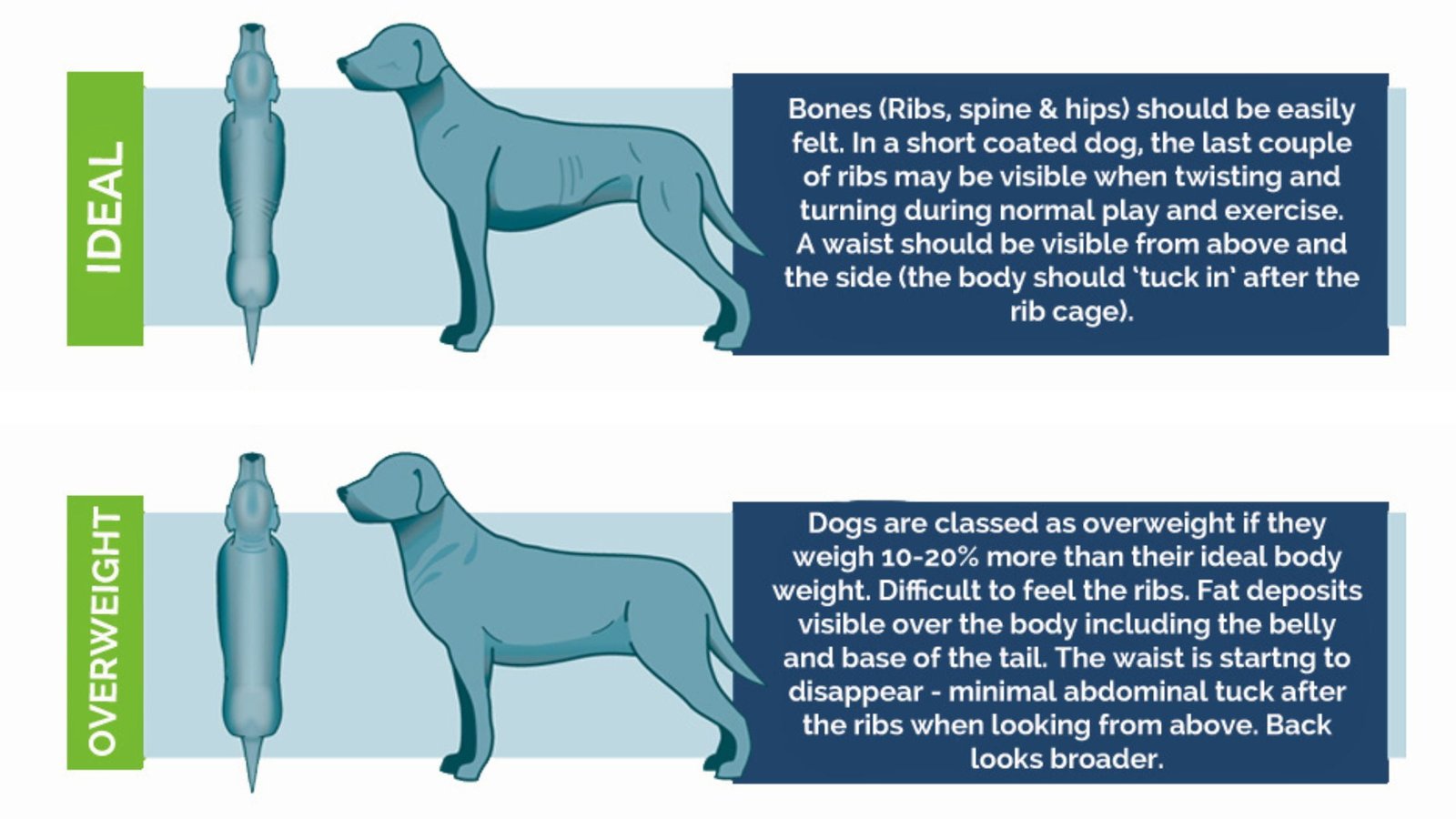 how to inspect dog weight