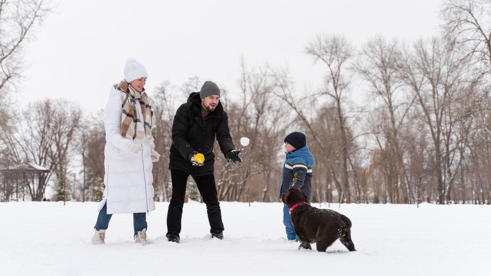 fun winter games for dogs