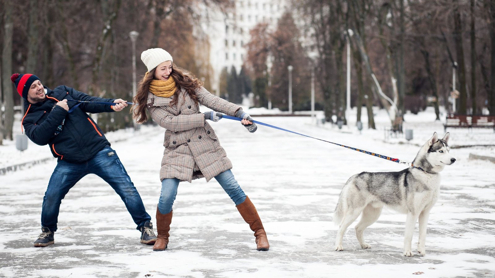 fun winter games for dogs