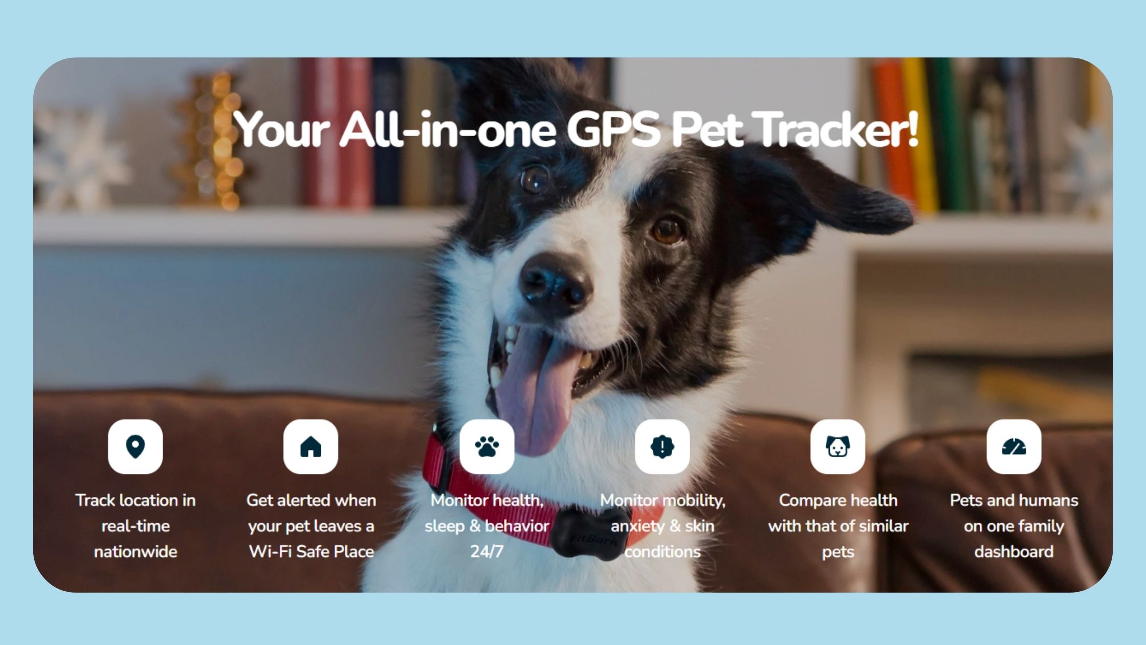 GPS collar for dogs