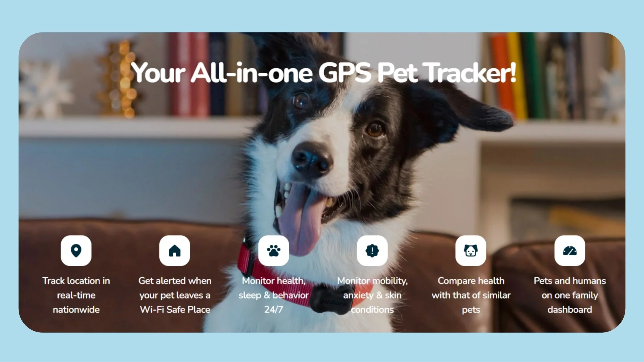 gps-dog-collar