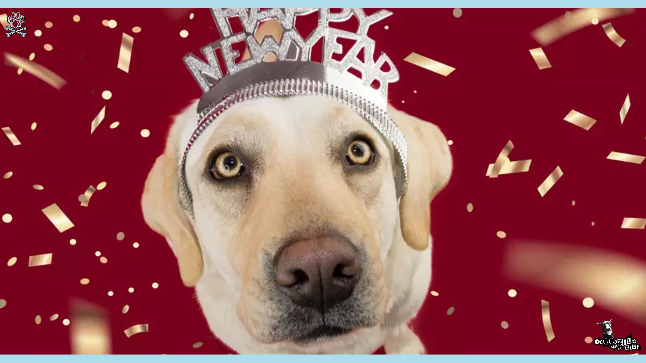 one happy Labrador retriever