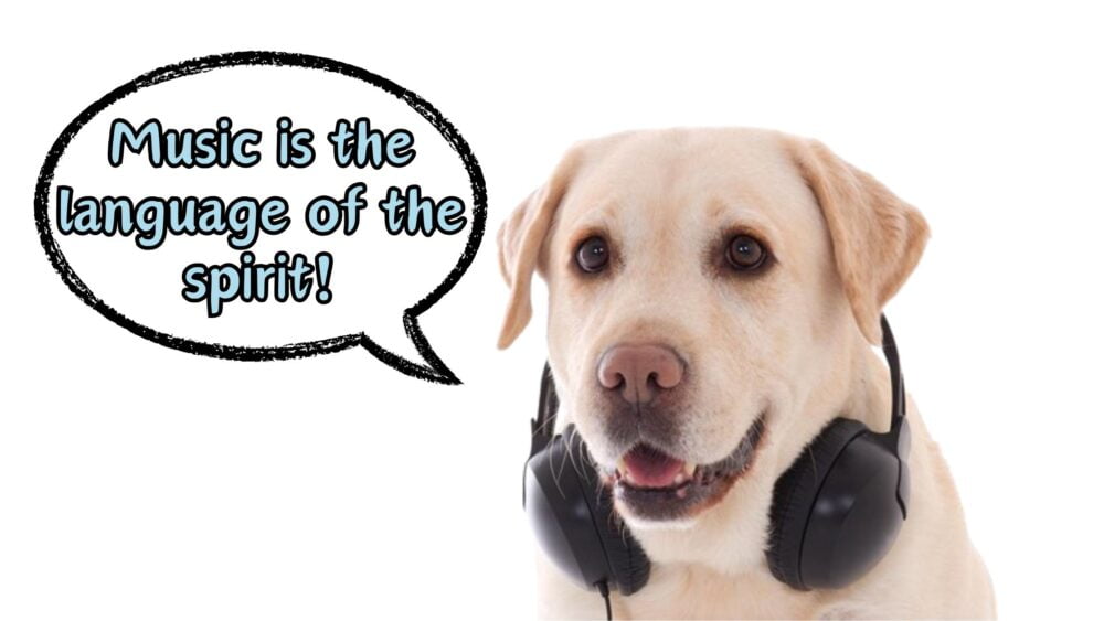 Photo inspiration: Do Dogs Like Music Reference: Magazine For Healthy Doggos Lifestyle