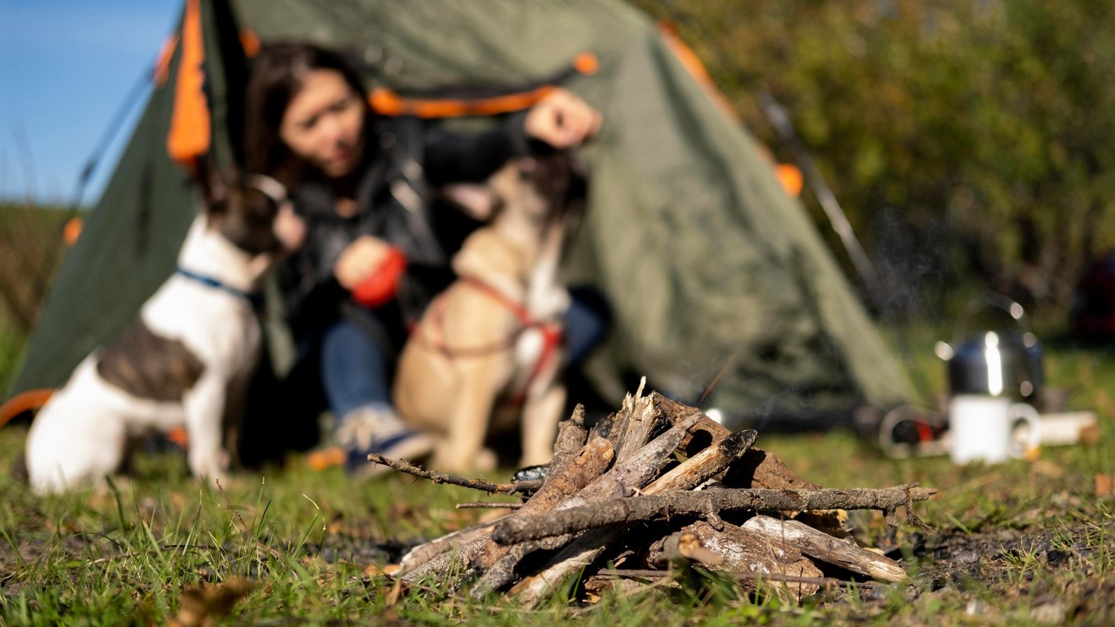 camping with your furry pal