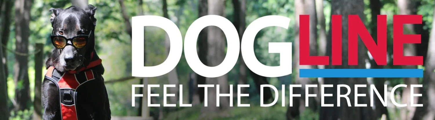 dog store