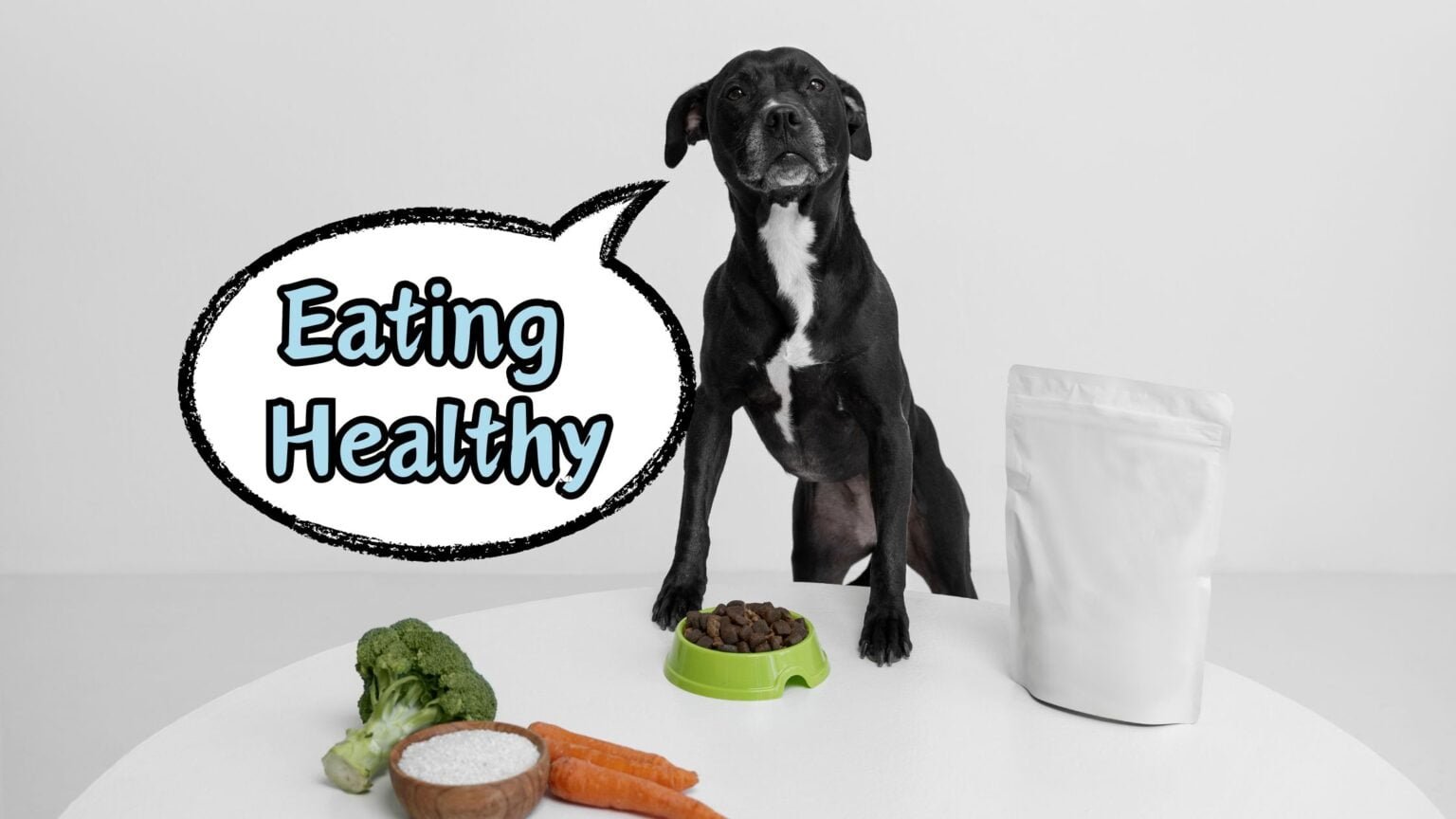 FOOD ALLERGIES IN DOGS