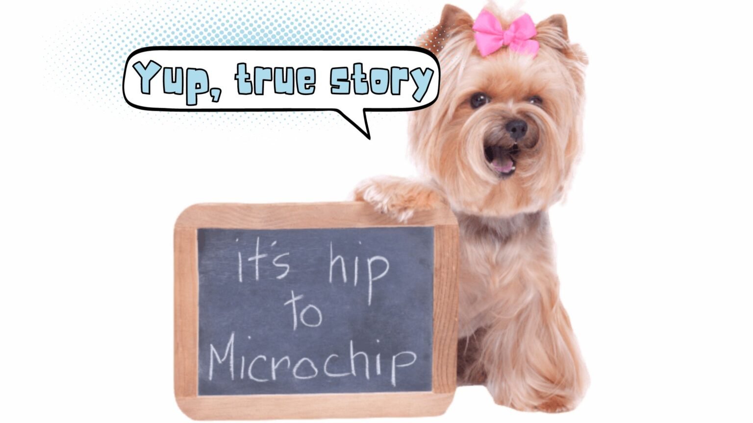 it's hip to microchip