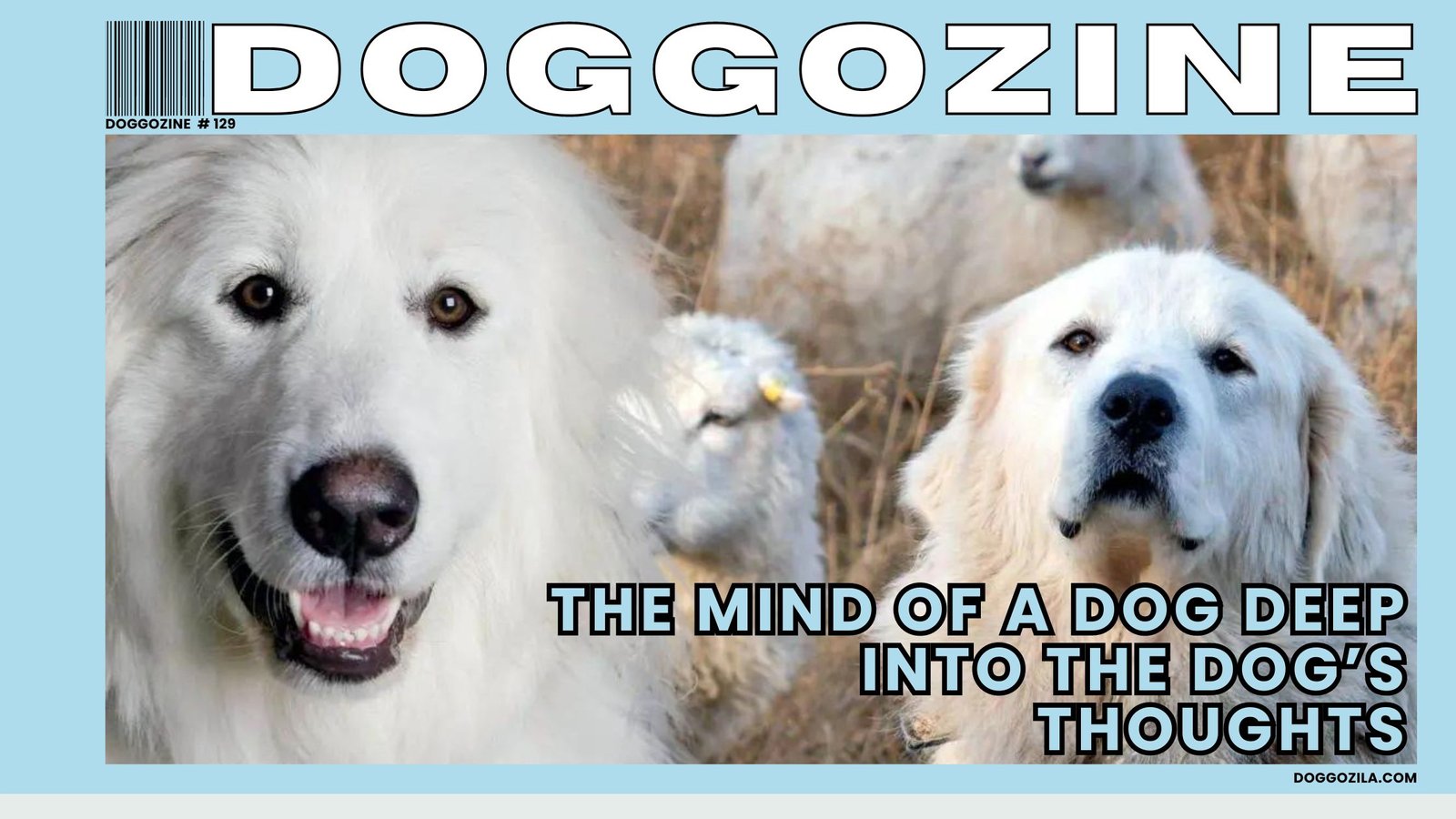 THE MIND OF A DOG