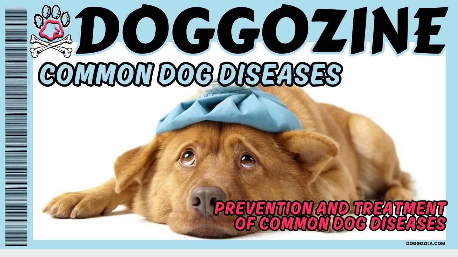 common dog diseases