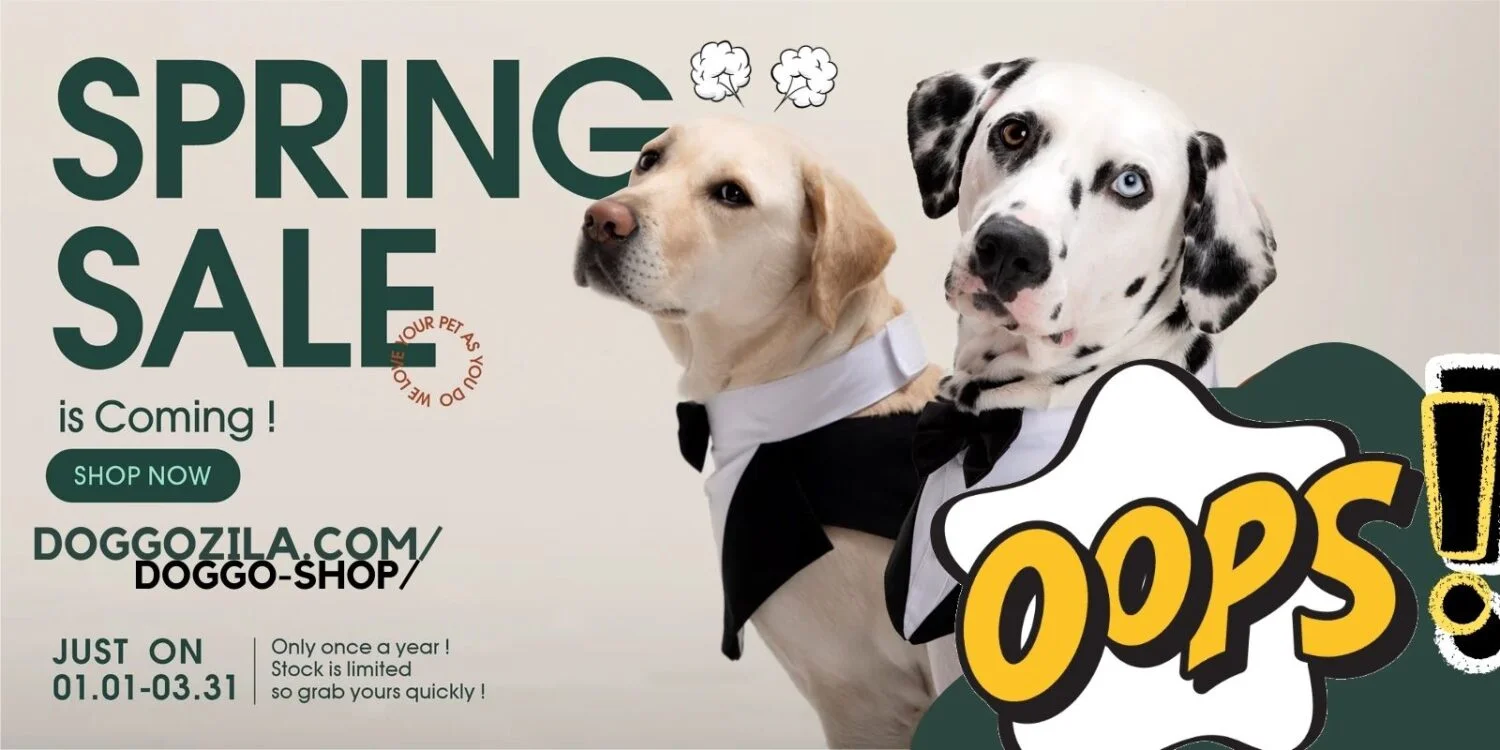 affiliate store banner
