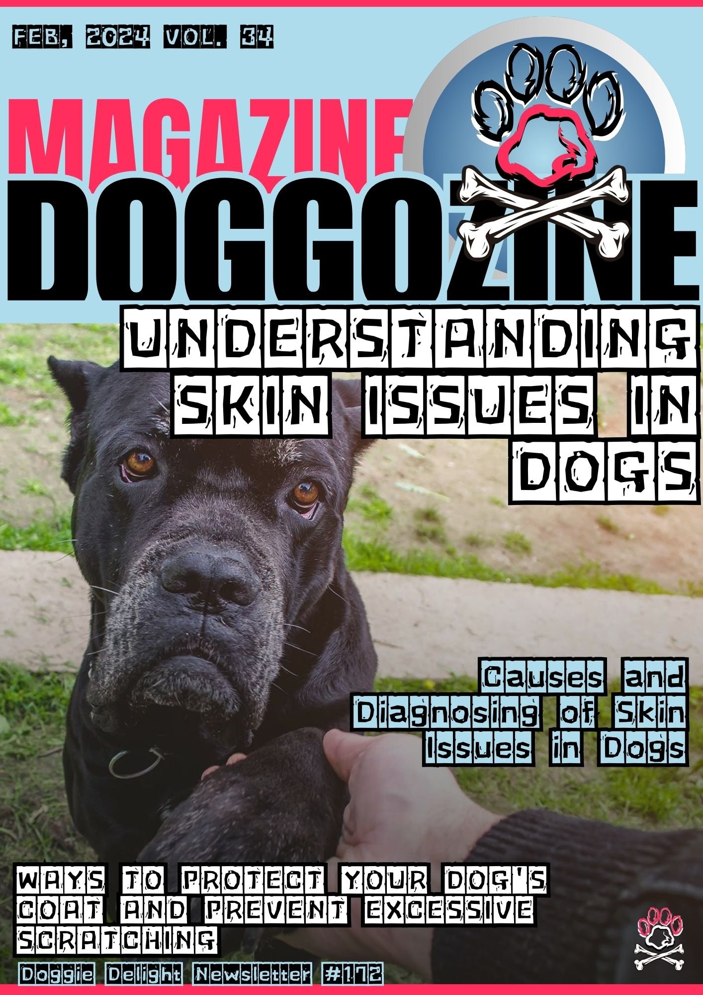 dog skin problems 