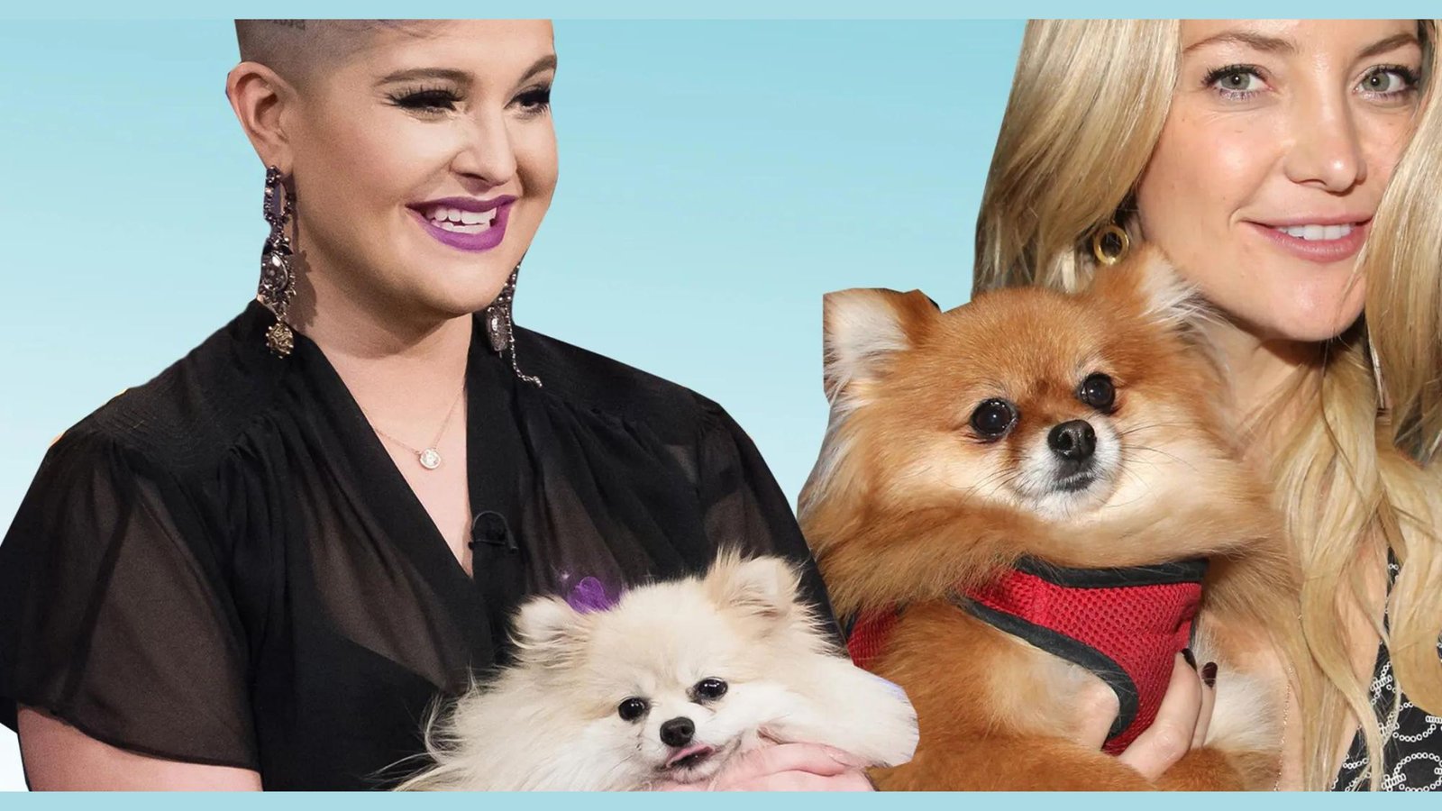 famous people dogs