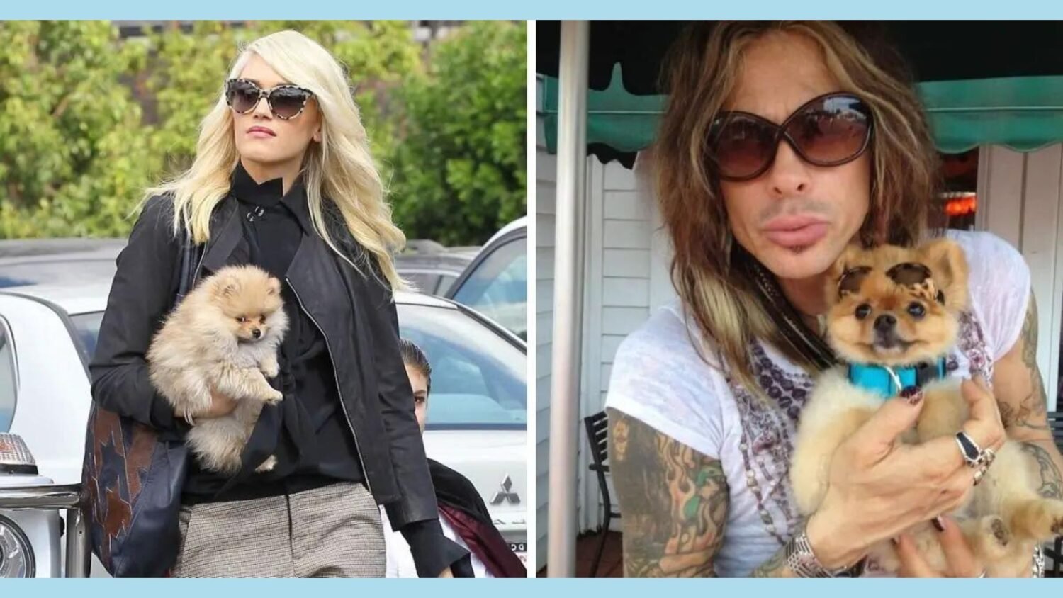 famous singers dogs