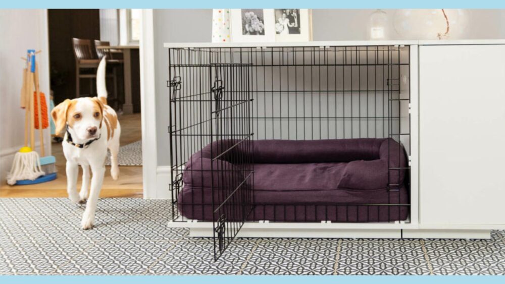 Image showcasing Puppy Crate Training: Teach Your Dog the Safe Place • Doggozila Magazine