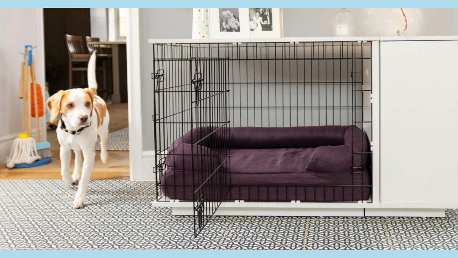 PUPPY CRATE TRAINING