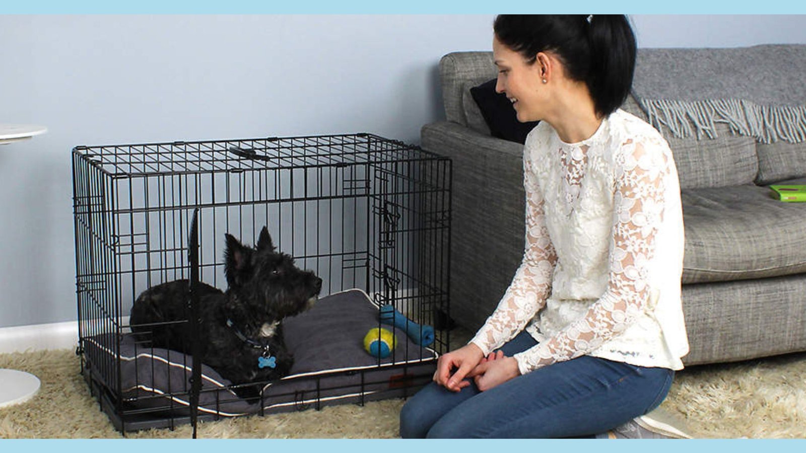 puppy sit in his crate