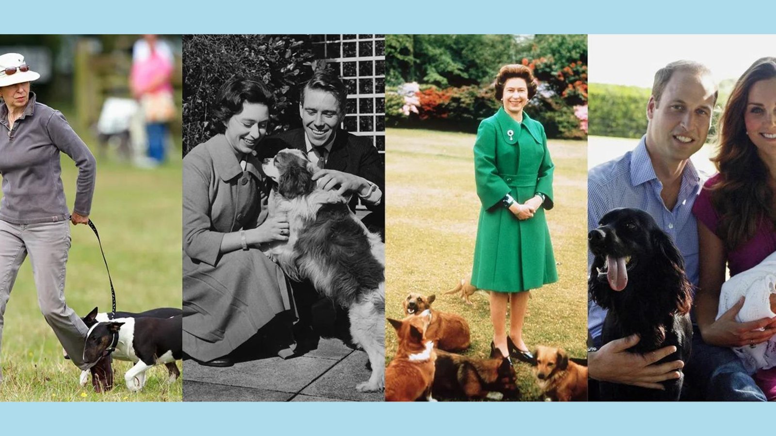 royal family dogs