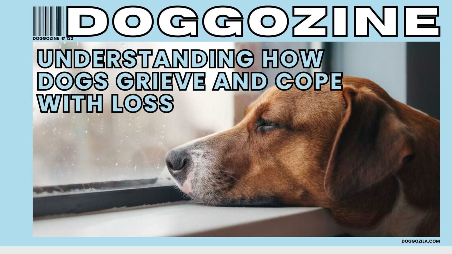 do dogs mourn